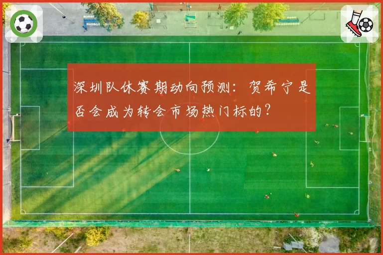 深圳队休赛期动向预测:贺希宁是否会成为转会市场热门标的?